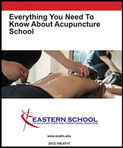 Everything You Need to Know About Acupuncture School