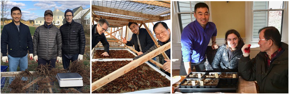 ESATM Chinese Herbal Medicine students at the New York state herbal farm location-High Falls Foundation, Inc.